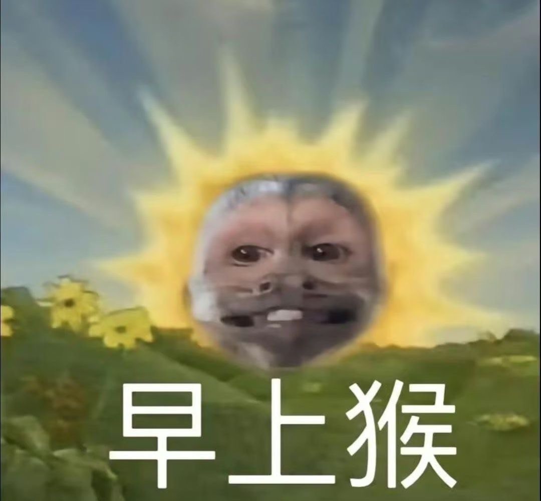 早上猴