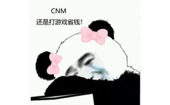 CNM 还是打游戏省钱 - 还是打游戏省钱