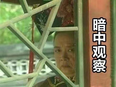 (容嬷嬷) - 一组暗中观察表情包