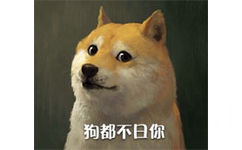 狗都不日你 - doge最新装逼表情