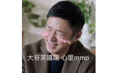 大哥笑嘻嘻 心里 mmp - 都挺好苏明哲表情包