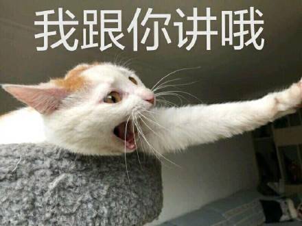 猫咪：我跟你讲哦