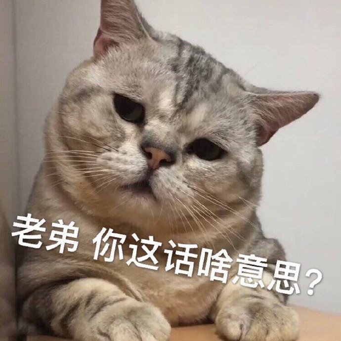 老弟 你这话啥意思嘛？（猫咪表情包）