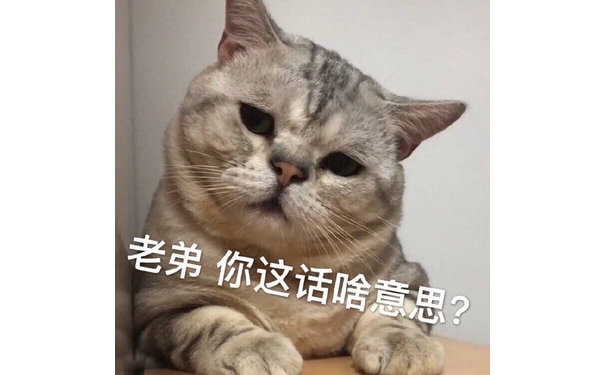 老弟 你这话啥意思嘛？（猫咪表情包）