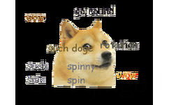 wow, go round, such doge, rotation, such spinny, sbin spin wow - 还是我们可爱的 doge