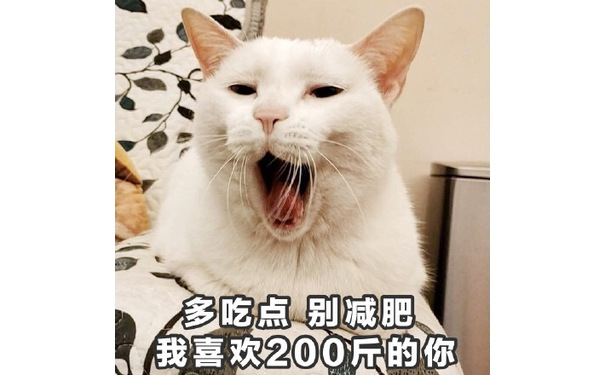 多吃点别减肥我喜欢200斤的你 - 一组萌萌的猫咪表情包  吸猫(=^o^=) ​