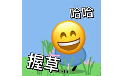 哈哈握草