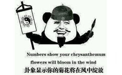 卦象显示你的菊花将在风中绽放（numbers show your chrysanthemum flowers will bloom in the wind） - 你他妈是不是在打飞机啊，老子和你说话呢