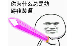 你为什么总是碍我装逼 - 持剑系金馆长