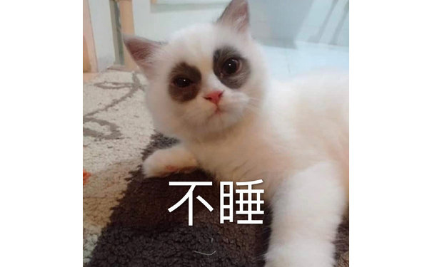 不睡（黑眼圈猫咪）