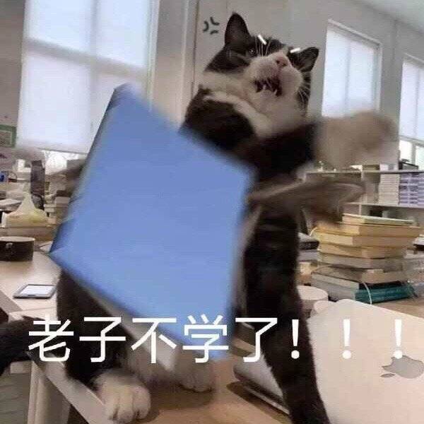 老子不学了（猫咪表情包）