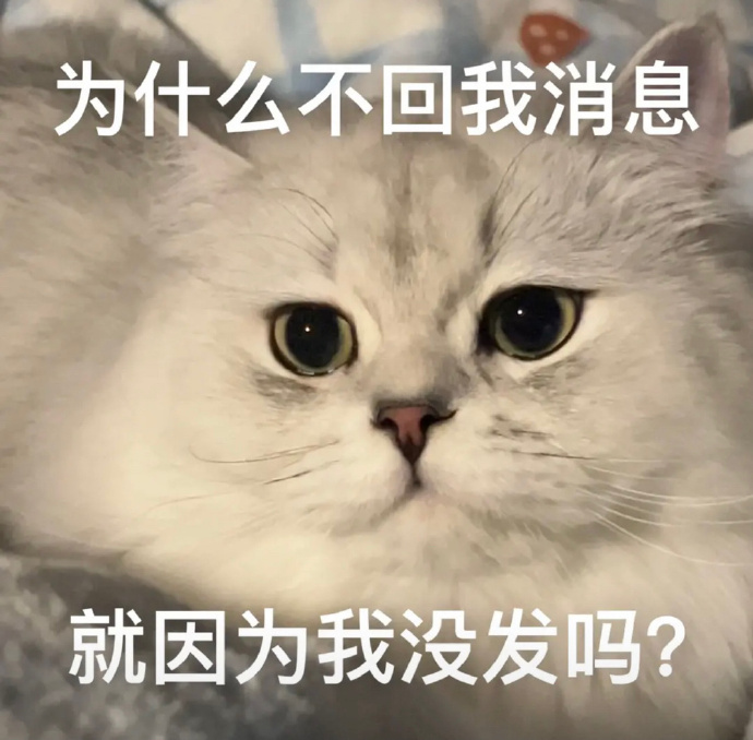 为什么不回我消息就因为我没发吗？