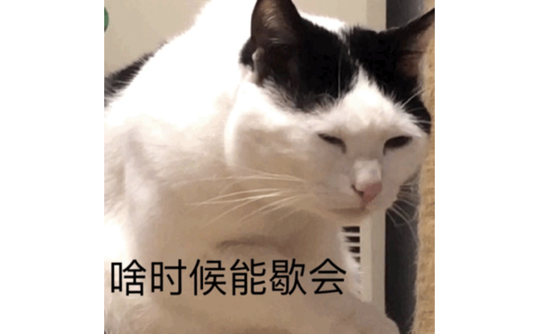 啥时候能歇会 - 一组猫咪斗图表情包