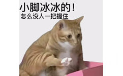 小脚冰冰的!怎么没人一把握住 - 猫咪猫猫表情包