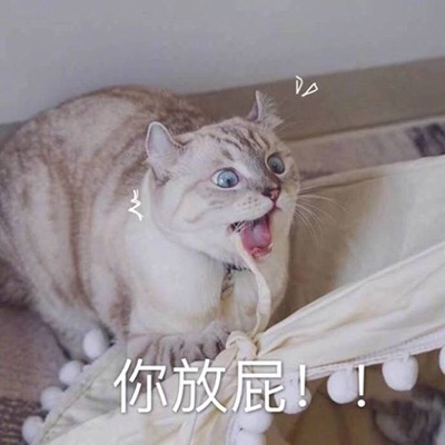 你放屁! - 一组猫咪表情包 吸猫