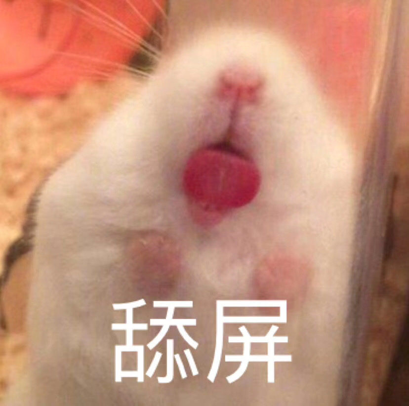 小仓鼠舔屏