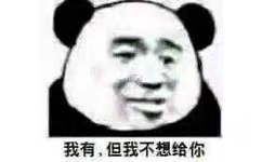 我有,但我不想给你