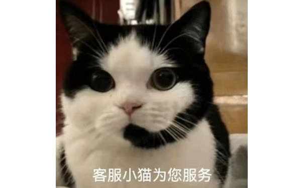 客服小猫为您服务