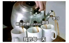 学习新出的剧memes游戏我的每一天