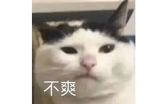 不爽(猫猫表情包)