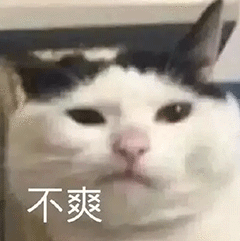 不爽(猫猫表情包)