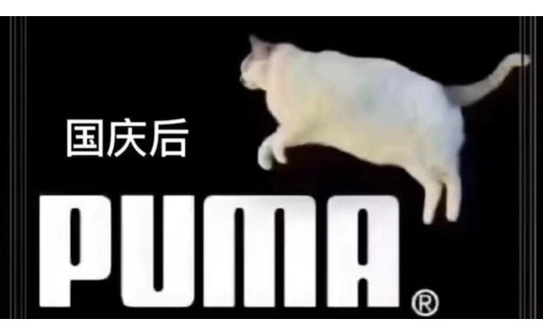 国庆前 肥PUMA