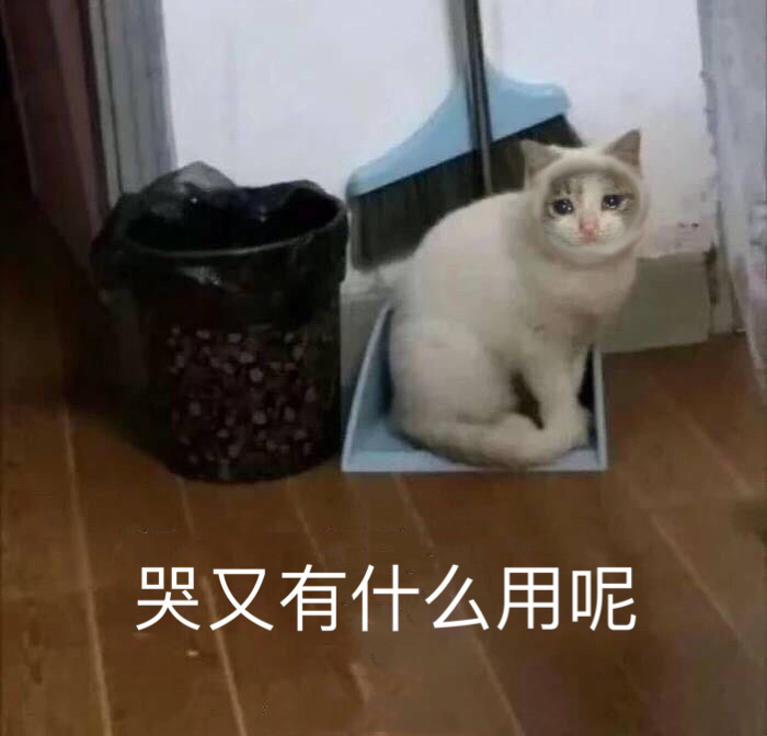 哭又有什么用呢？（猫咪） - 近期斗图表情包精选-2019/4/4