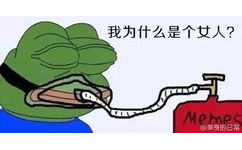 我为什么是个女人 - 我为什么是个女人？（frog）