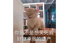 你是不是想笑死我好继承我的遗产（猫咪）