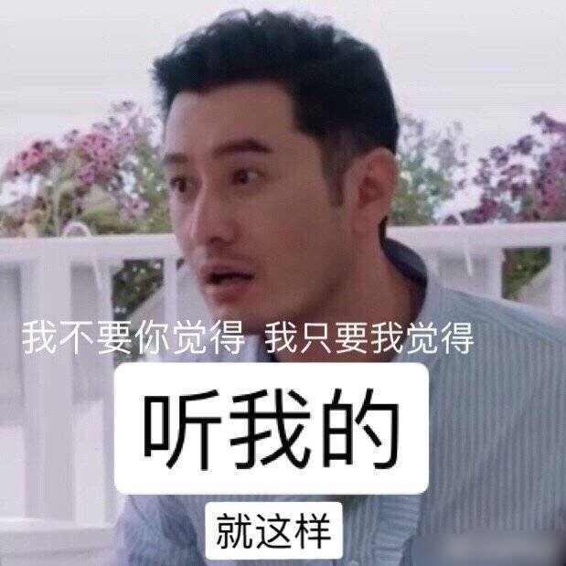 我不要你觉得 我只要我觉得 听我的  就这样（中餐厅黄晓明表情包）