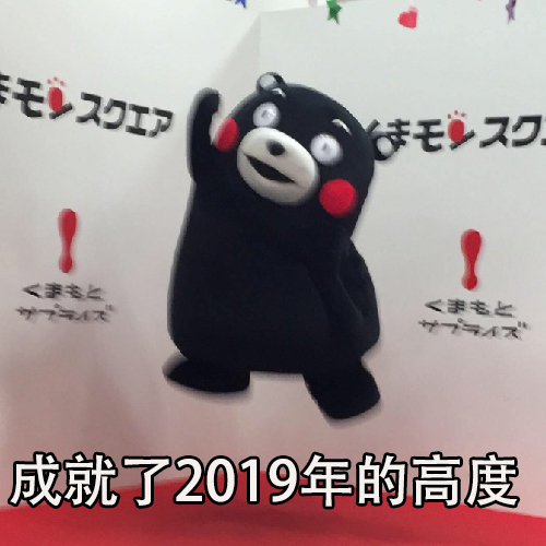 成就了2019年的高度 - 元气满满地迎接2019年