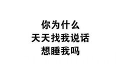 你为什么天天找我说话，想睡我吗 - 【纯文字表情包】昨天晚上你在床上可不是这么说的