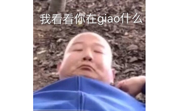 我看看你在gao什么