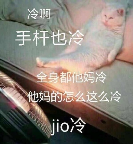 冷啊，手杆也冷，全身都他妈冷，他妈的怎么这么冷，jio 冷（猫咪烤火）