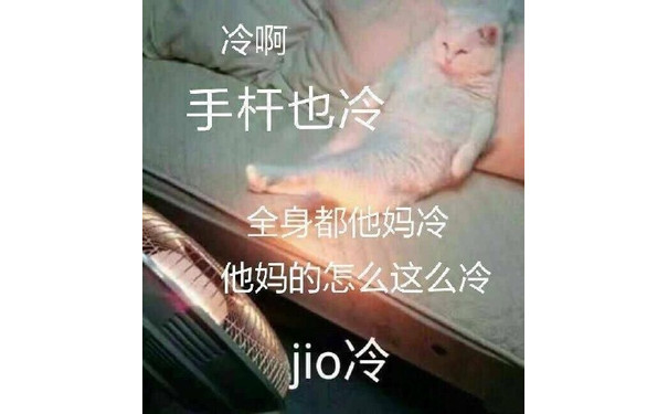 冷啊，手杆也冷，全身都他妈冷，他妈的怎么这么冷，jio 冷（猫咪烤火）