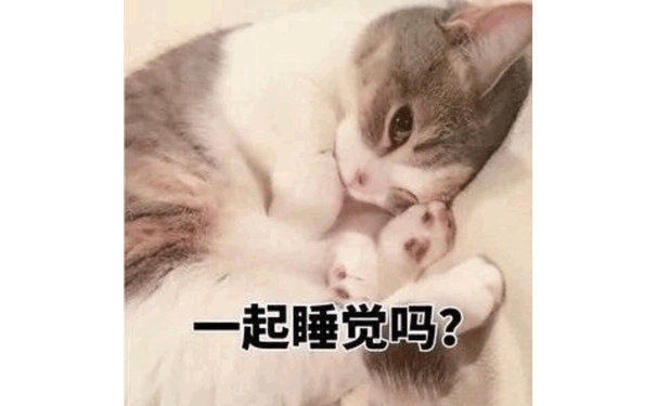 一起睡觉吗 - 猫咪：一起睡觉觉嘛？ ​