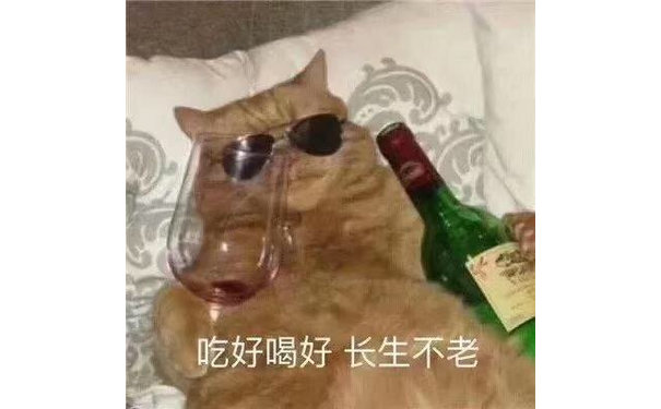 吃好喝好长生不老(猫咪喝红酒表情包)