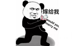 嫁给我 would you marry me （熊猫头）