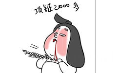 项链2000多 - 娘娘表情