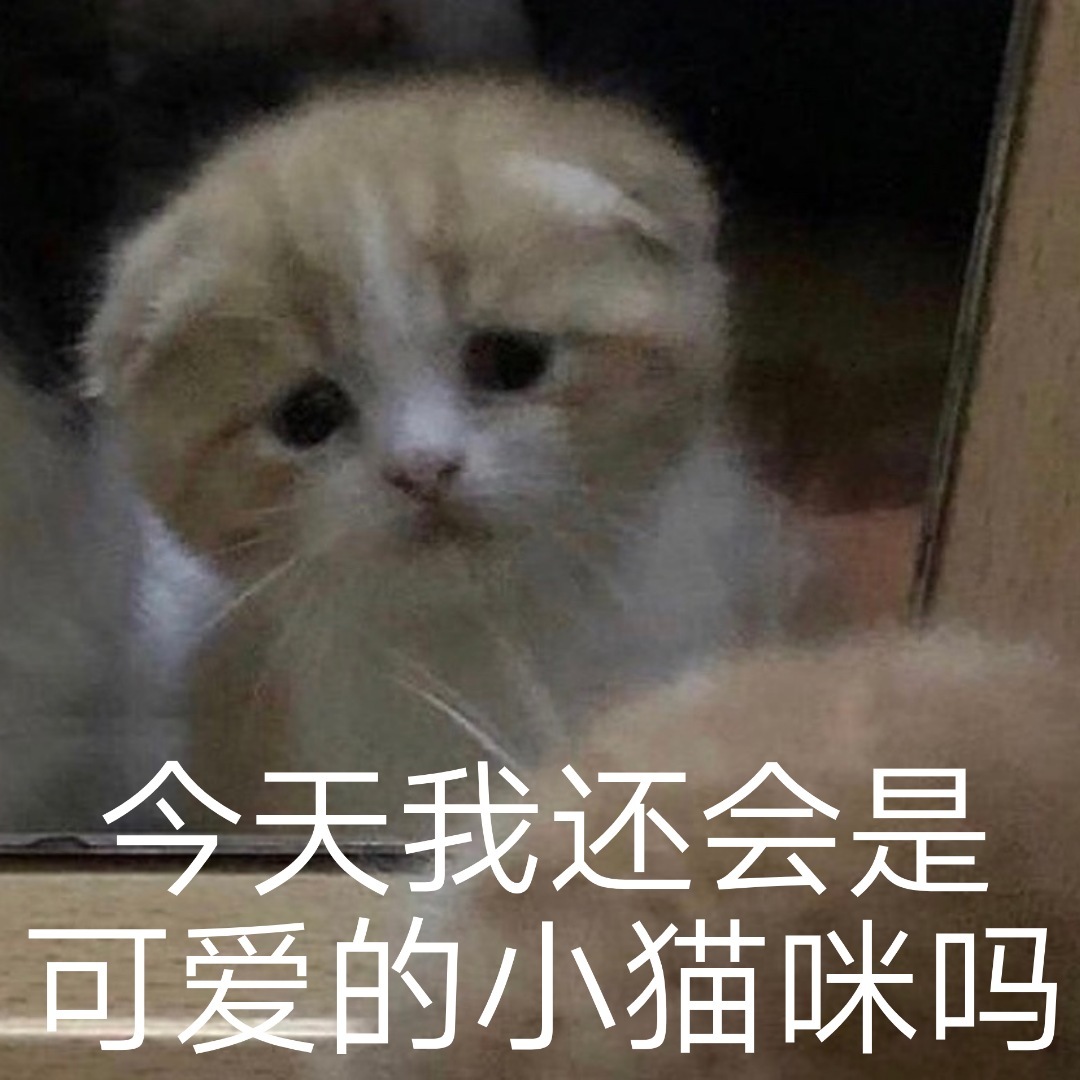 今天我还会是可爱的小猫咪吗 - 喵星人汪星人委屈表情包