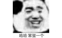 哈哈笨蛋一个