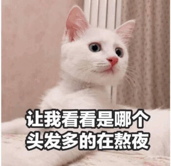 让我看看是哪个头发多的在熬夜（猫咪）