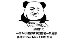 舔狗日记：一天24小时都收不到你的一条消息 要这13 Pro Max 1TB什么用