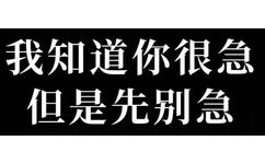 我知道你很急但是先别急