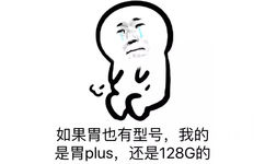 如果胃也有型号，我的是胃plus，还是128G的 - 我也就只是能多吃一点好不好！