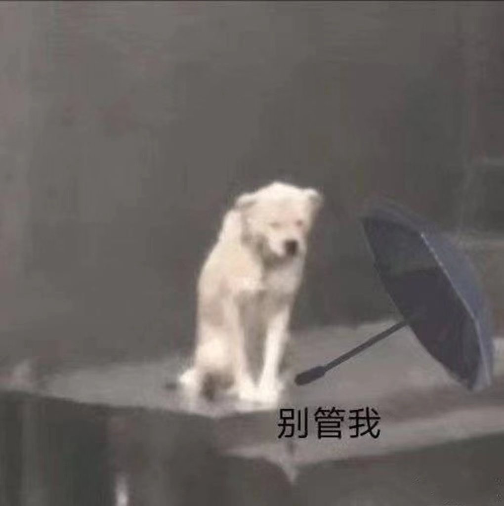 别管我(狗狗淋雨表情包)