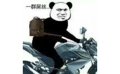 熊猫头骑摩托车 一群屌丝