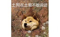 土狗在土里不敢说话