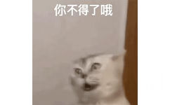 你不得了哦(沙雕猫咪表情包)