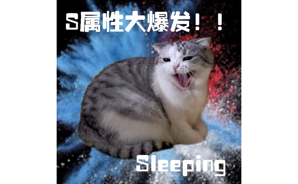 S属性大爆发！！Sleeping